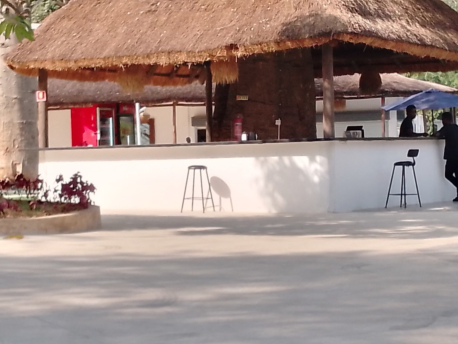 Bebidas deliciosas e refrescantes